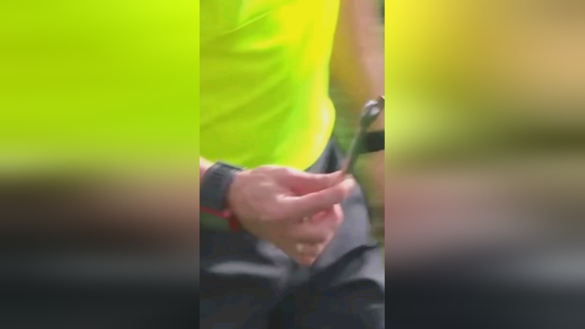 关注